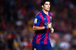 爱游戏 电竞-“南非羚羊队的中流砥柱：诺克·达维德·彼得森的核心作用”